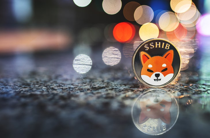 The Psychology Behind Investor Sentiment And Shiba Inu Coin Price